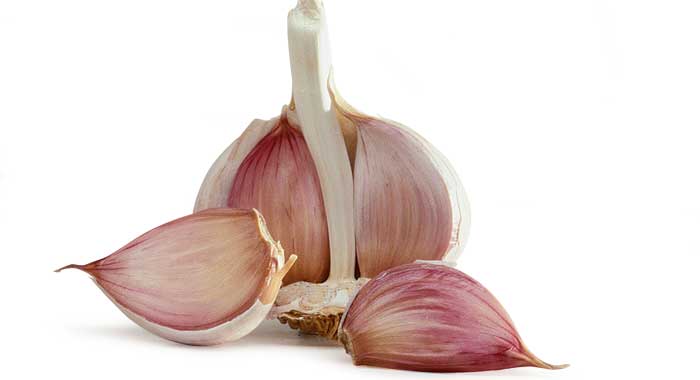 Should garlic be refrigerated