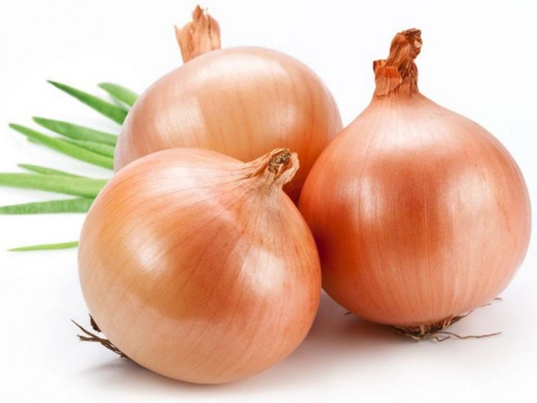 should onions be refrigerated